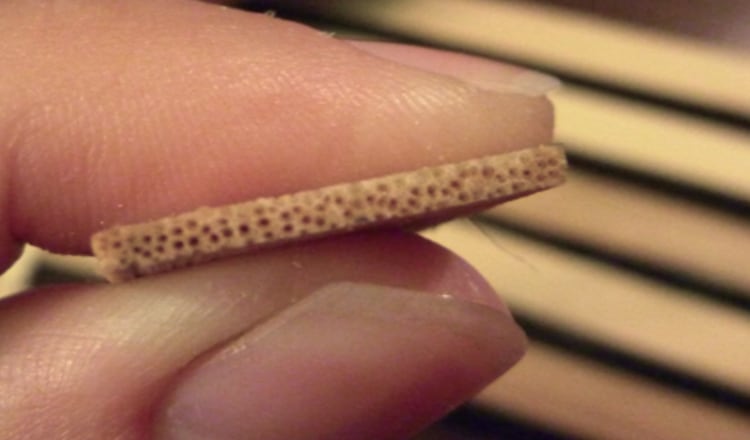 reed-composition.jpg
