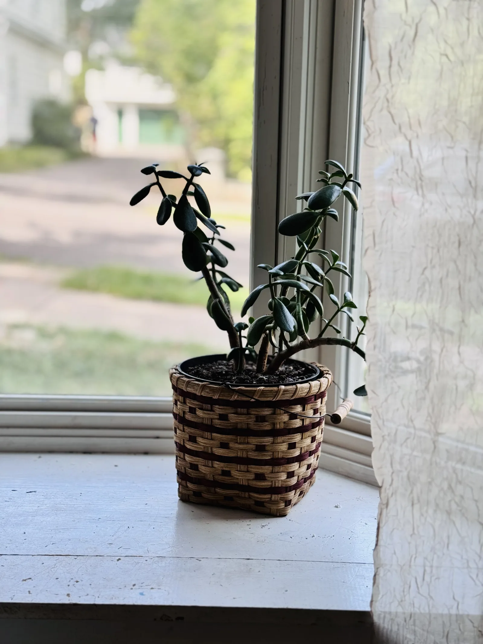 Snack Basket — image 7