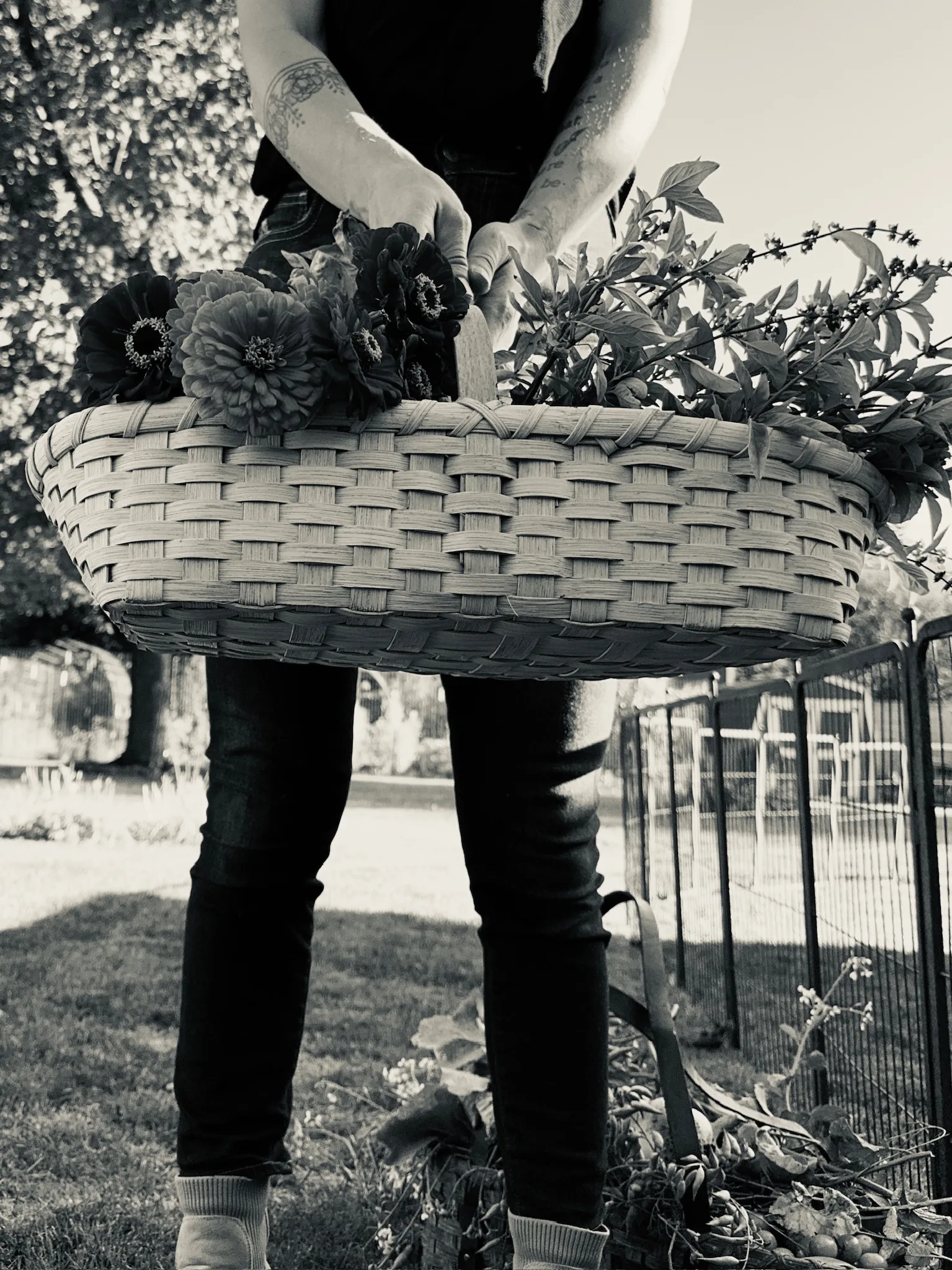 Garden & Gather Basket Weaving Class — image 1